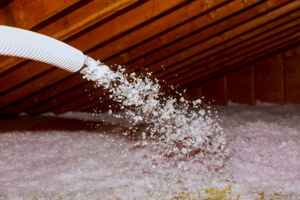 Best Specialized Insulation Services in Lakewood, NY